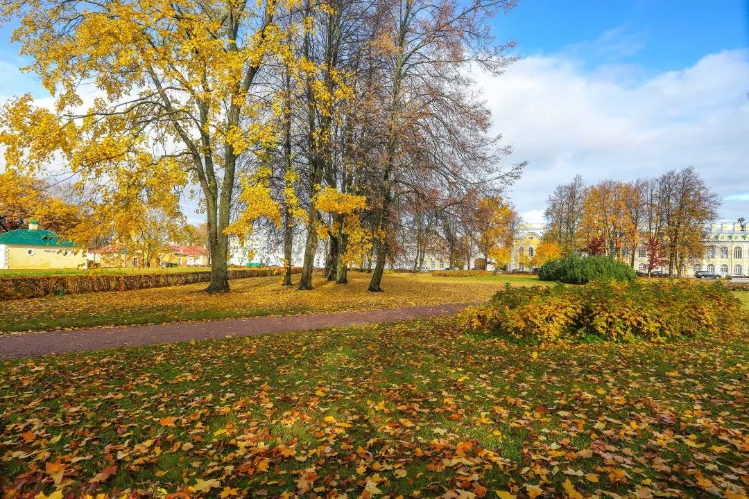 gDS6Ae8EicY1mjpaZ5R1p7nicdhDCPTzG7UiaibN2ic5FhvxETzDtDW3mpyT