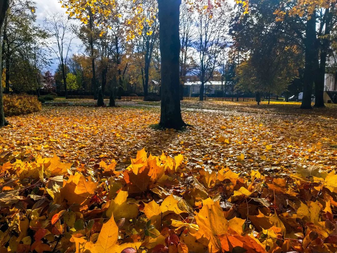 gDS6Ae8EicY1mjpaZ5R1p7nicdhDCPTzG7vEe7cDONrz7YJoydyAKsTenv70