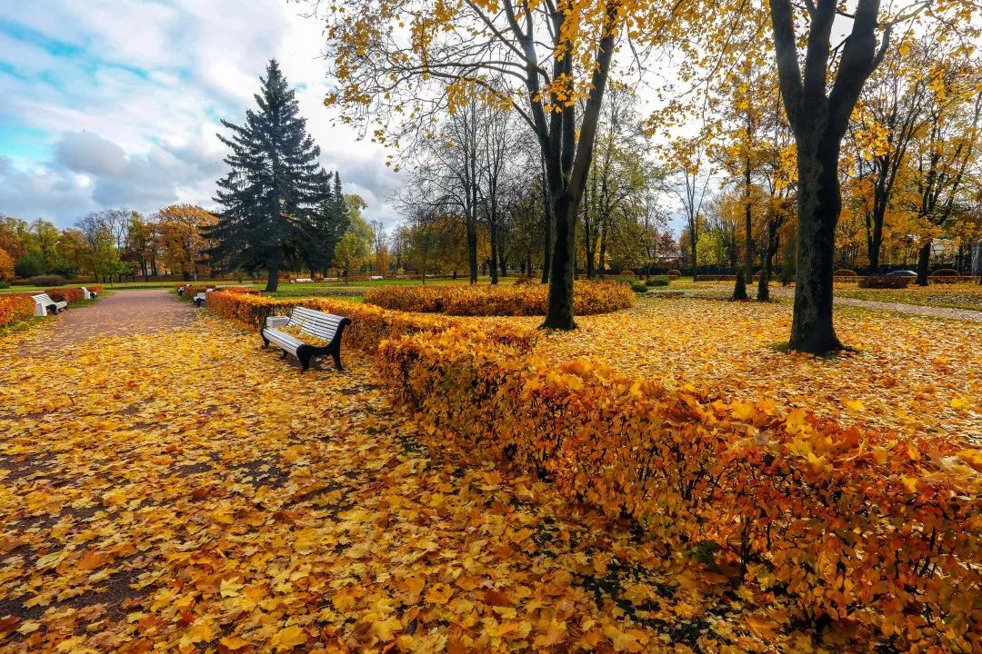 gDS6Ae8EicY1mjpaZ5R1p7nicdhDCPTzG7xDiaKotAibG6faOj0nbmWwLx54