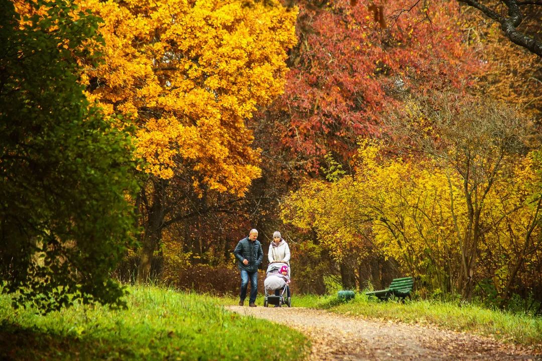 gDS6Ae8EicY1mjpaZ5R1p7nicdhDCPTzG7rC1ehcYibNsz3kWG1FHq4HHq21