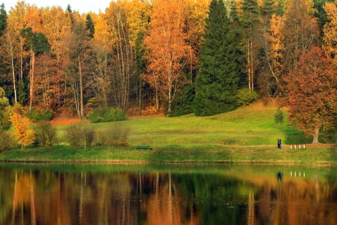 gDS6Ae8EicY1mjpaZ5R1p7nicdhDCPTzG7hWJWU8SC4PXIVyBHic533wMQ1V