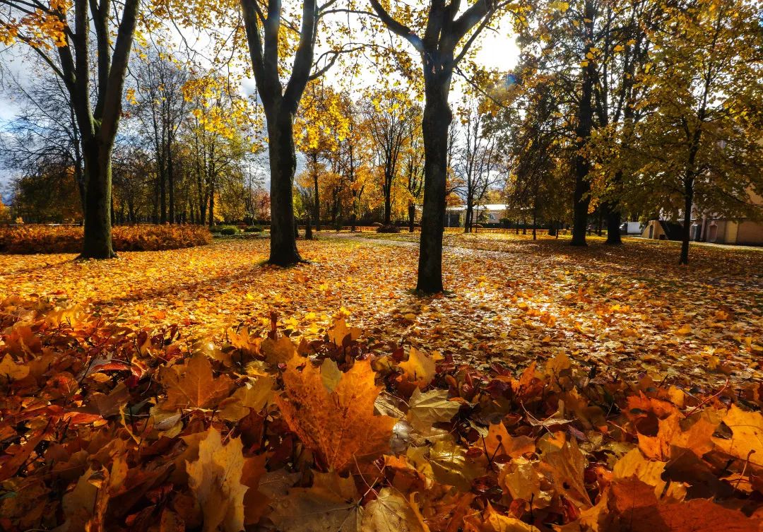 gDS6Ae8EicY1mjpaZ5R1p7nicdhDCPTzG7NfpTDFmc8ubIKGpTDKWO0icwka