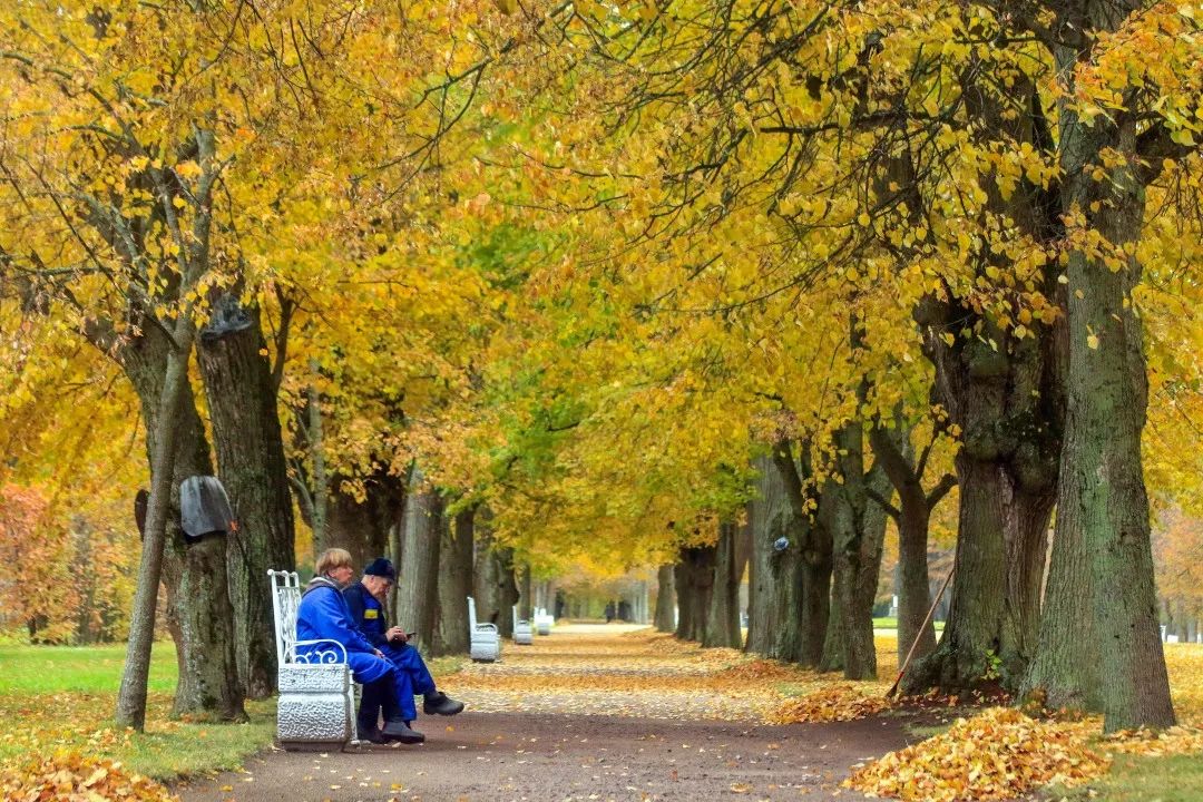 gDS6Ae8EicY1mjpaZ5R1p7nicdhDCPTzG7iblBGpBtcECF1of1wFkhM5PPc8