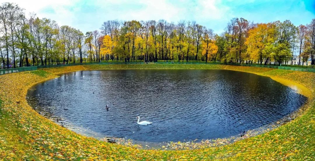 gDS6Ae8EicY1mjpaZ5R1p7nicdhDCPTzG7CZt6zJm83z1Pc01ibd5CV0nXon