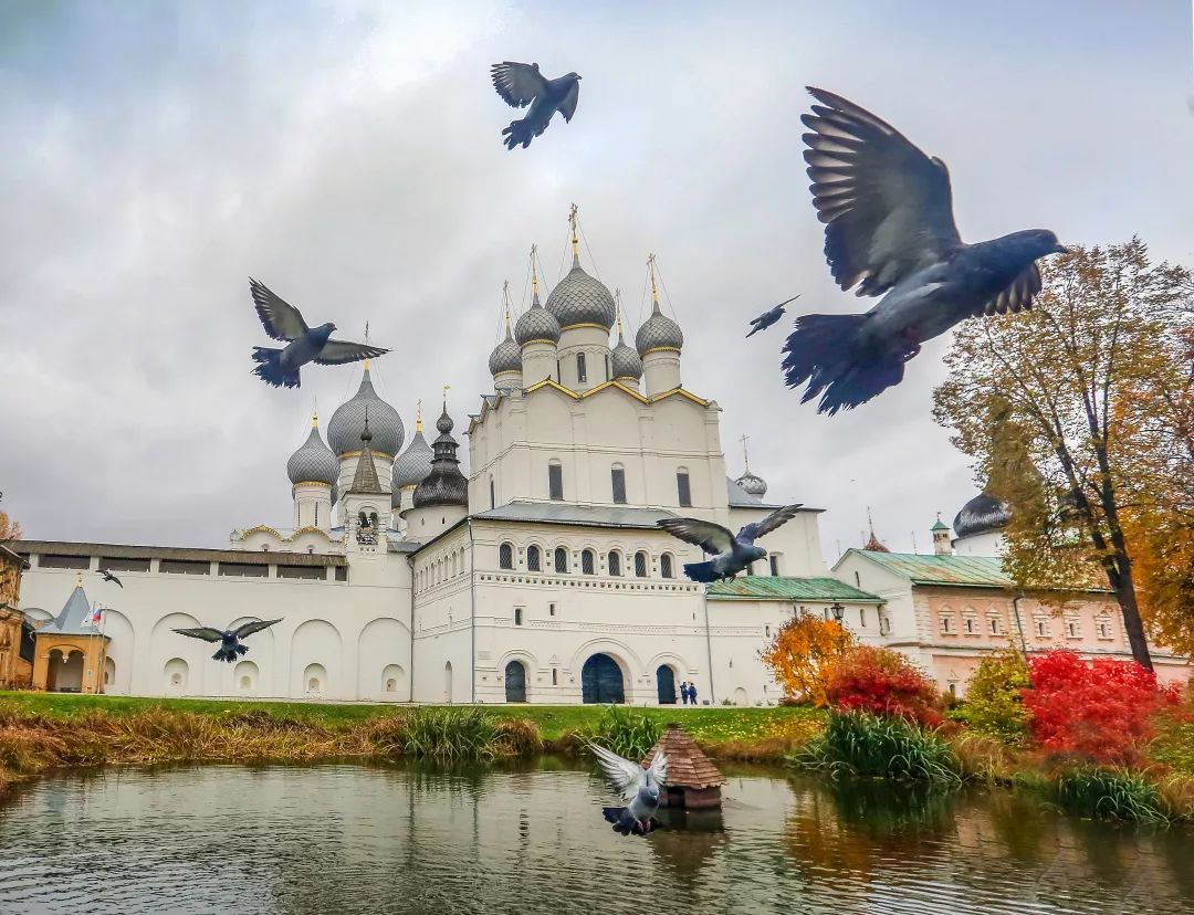 gDS6Ae8EicY1mjpaZ5R1p7nicdhDCPTzG7M45lObpwM1qDud2vYfJf57VMws