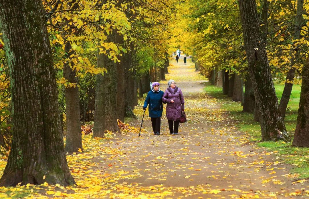 gDS6Ae8EicY1mjpaZ5R1p7nicdhDCPTzG7lUIpaE6n55oMxYsNTkgnGoFOXt