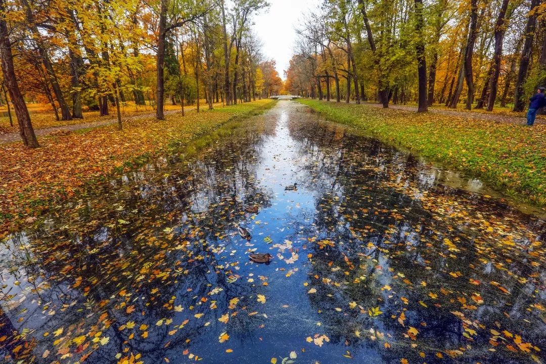 gDS6Ae8EicY1mjpaZ5R1p7nicdhDCPTzG7FzzKtC1V6wTFvTtzrspOcr3ecS