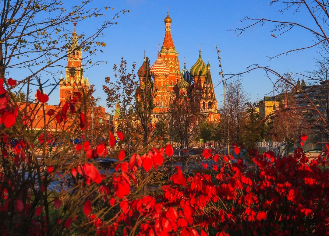 gDS6Ae8EicY1mjpaZ5R1p7nicdhDCPTzG7tia5dCvEju18gZMa5ws6ka7FcJ