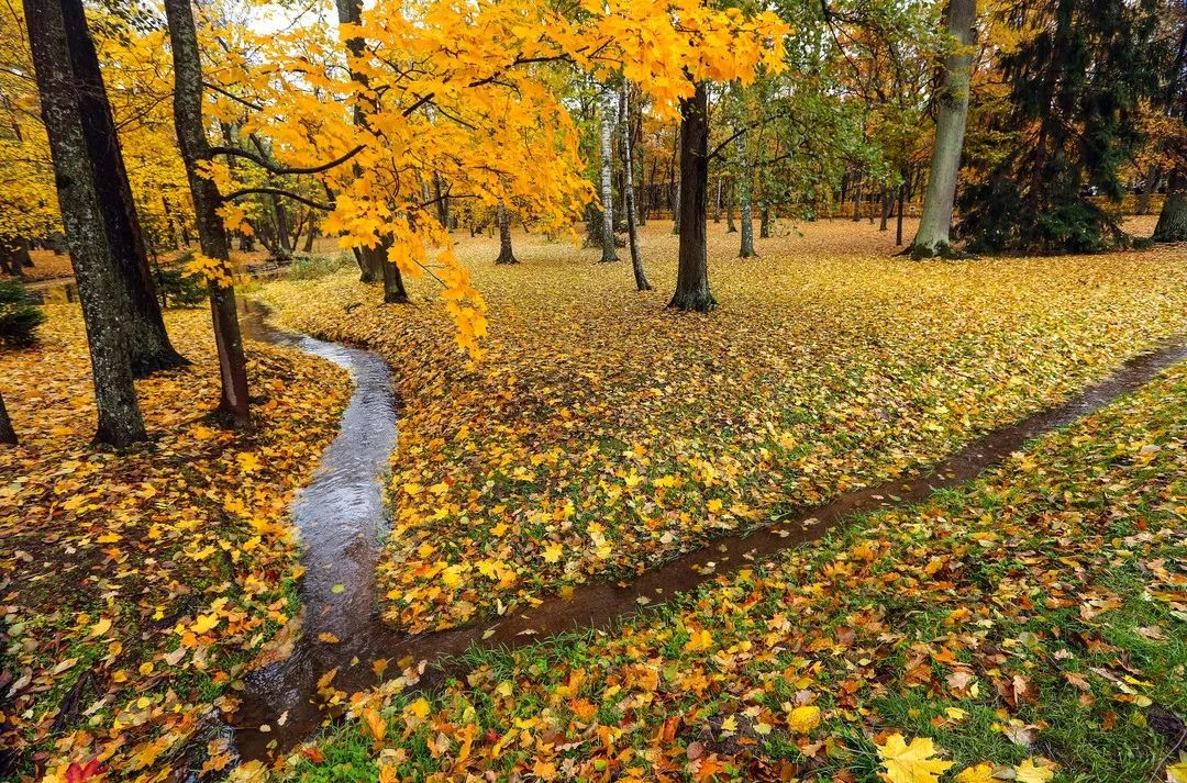 gDS6Ae8EicY1mjpaZ5R1p7nicdhDCPTzG7dICuHjD5t4rkCibACw0iaYKOqu