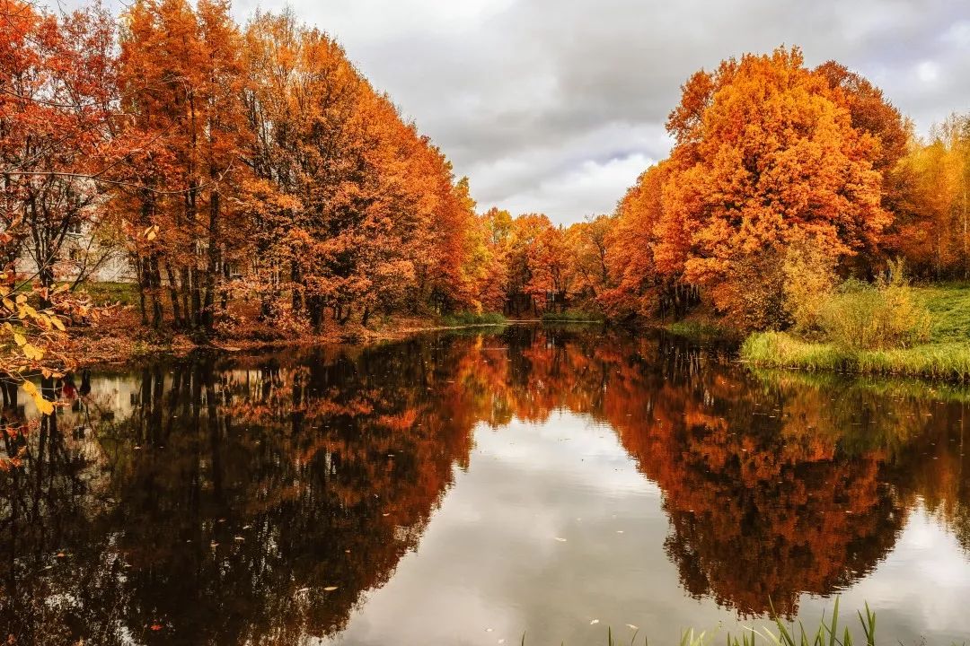剛出爐的俄羅斯秋天艷照門,美得讓人受不了! 