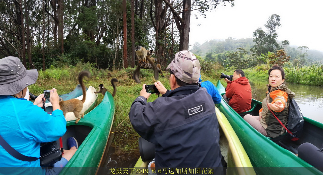 2019.8.6馬達加斯加團花絮