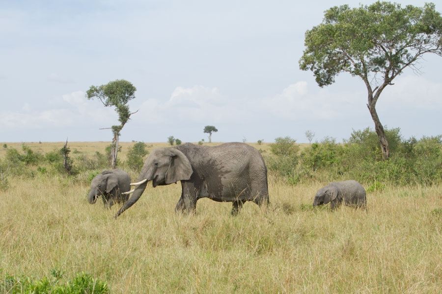 020712bbyykbvijyfi9j9i