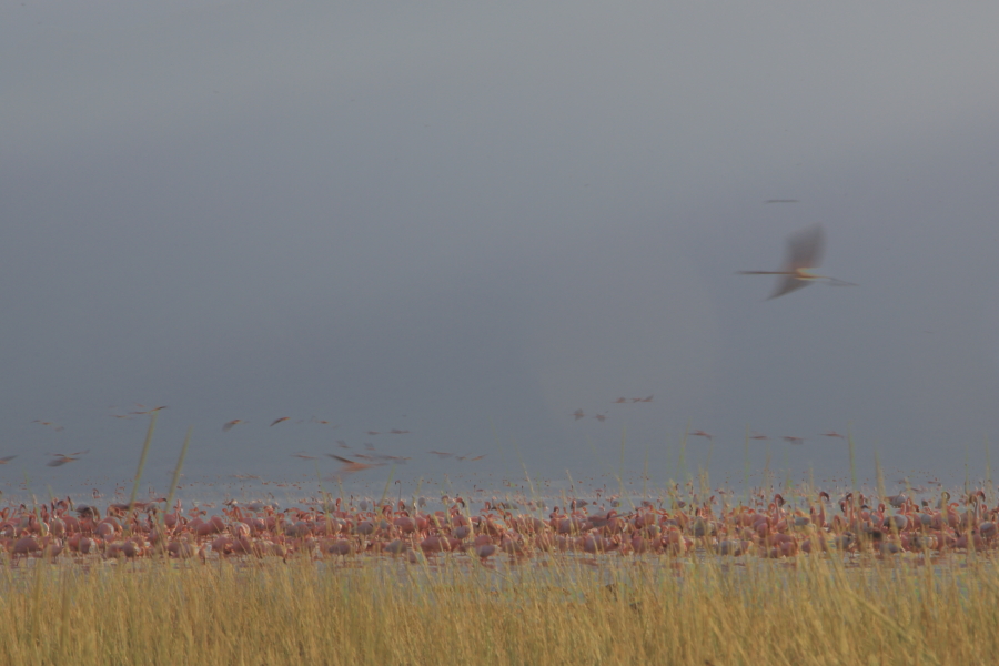 20315069ood76ihe902vrz