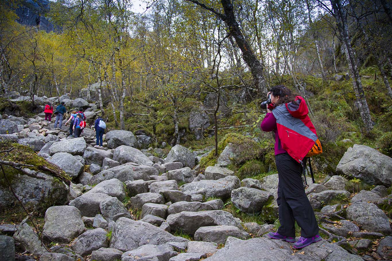 115337csdvrxrbuf025qu6