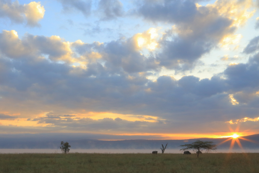 221116oi57bg39syi5939i