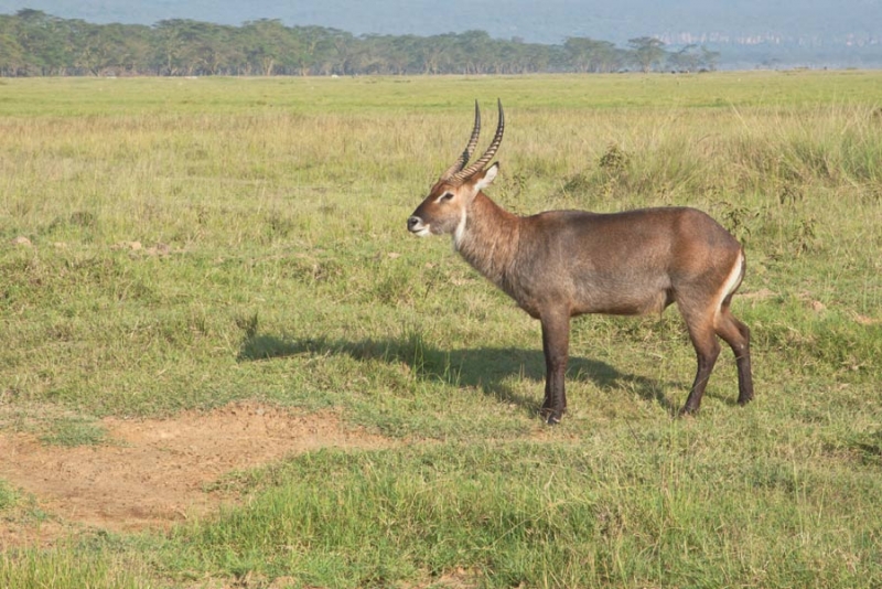 200306aogxgvv93g73vnxg