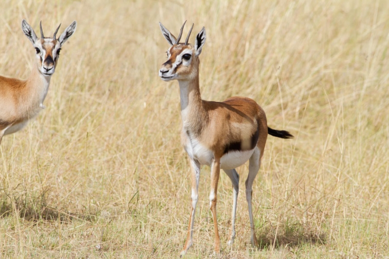 200359ykzn3yk7cfrfv797