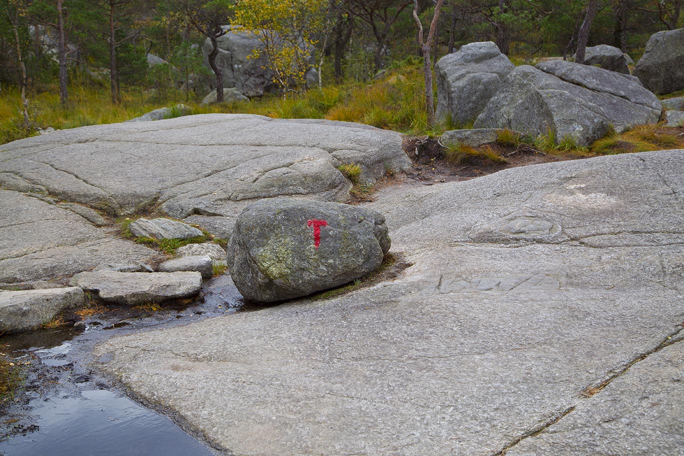 115045i6nintnu41i88l1k