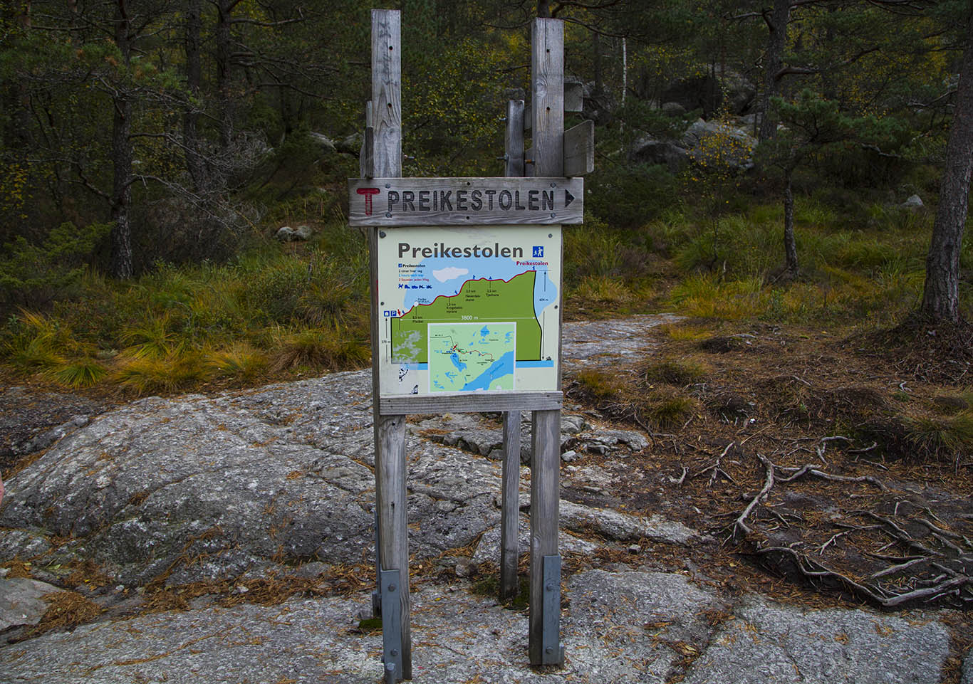 115041iavzwrwyajs6yax2