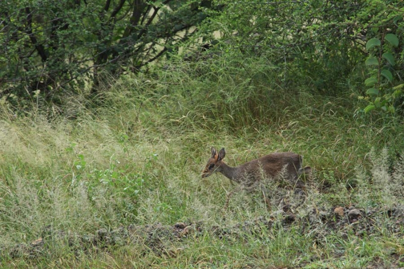 200159ot76xh6ld43pzihp