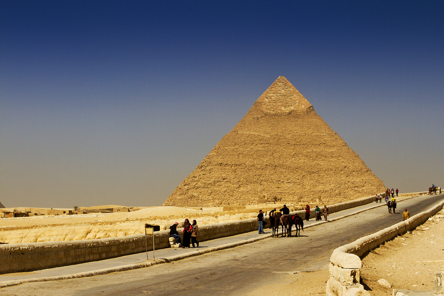 223837v39tnjnhtcn76rpg