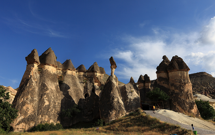 194031f2d740n4l1mnm51c