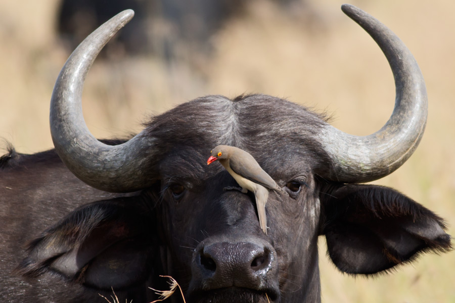 210925niv8i178i22ig8uv