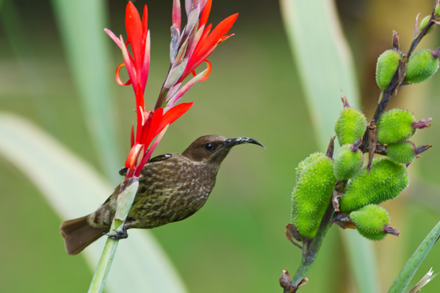 224808dmhk27ivm22mghmi