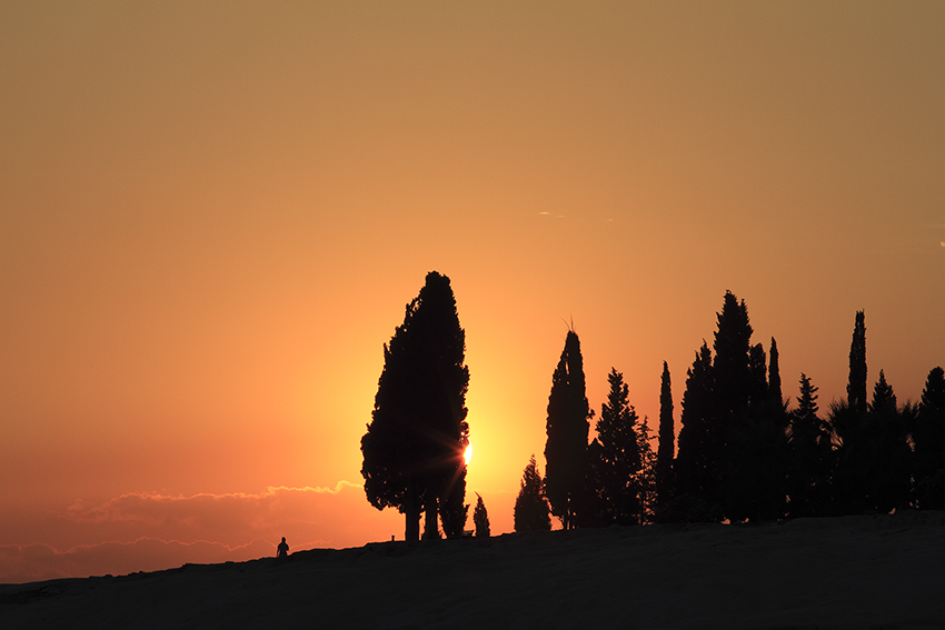 222517q23w3ys3z73ssoxy