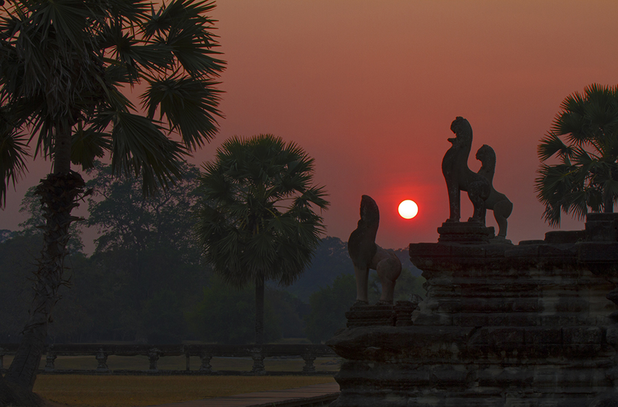 125522uk67eej8z728h9v7