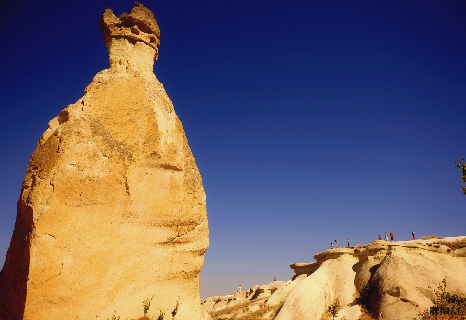 11091122390de43ecaed67fe81