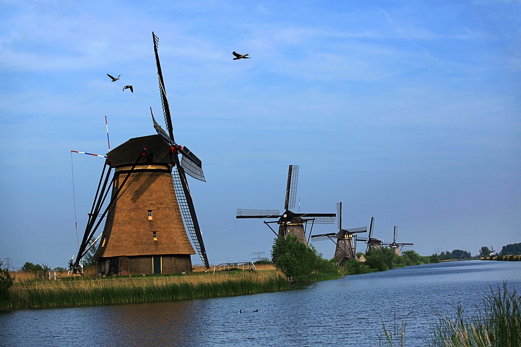 100842nsusvwdiisp93wbi