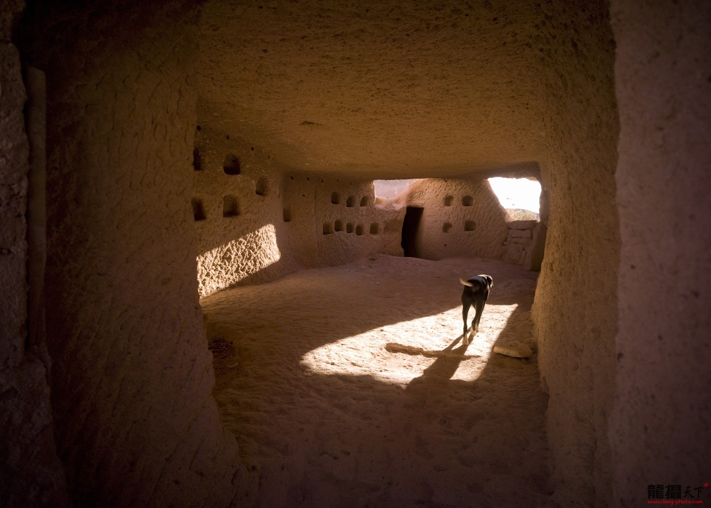 11090420270e709b98d462a2e0