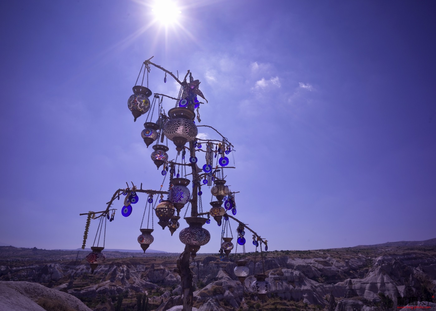 1109040239a2ee8568c01a418f