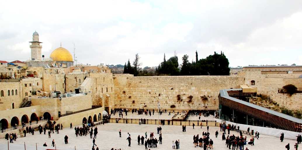 151609h78yp8yylf5hcuyt