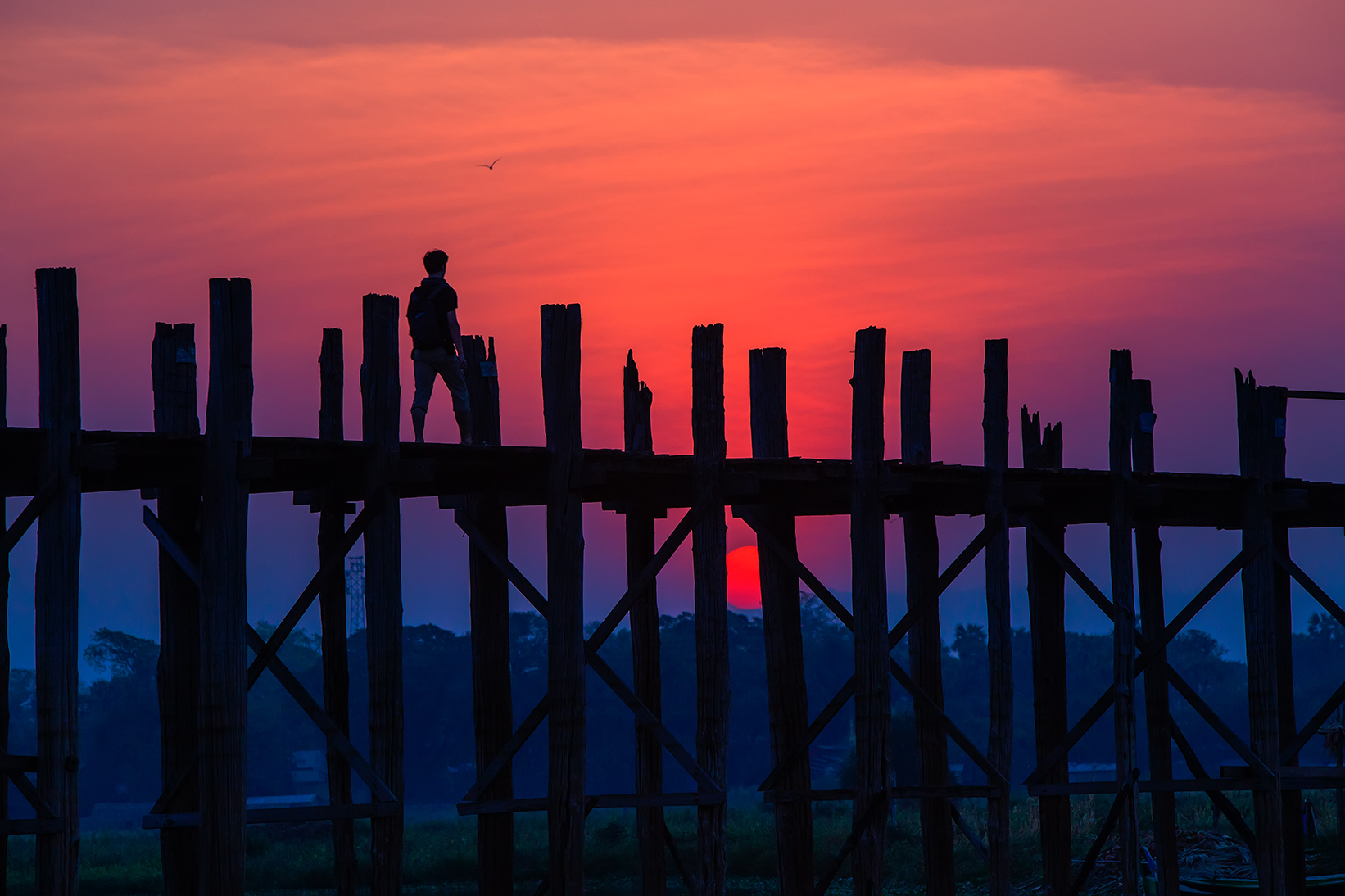 145503gtduzii6j0z460ie