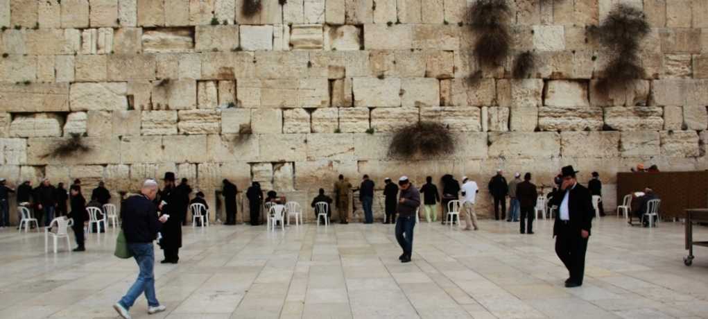 151623kzmd58lcfugtfwmg