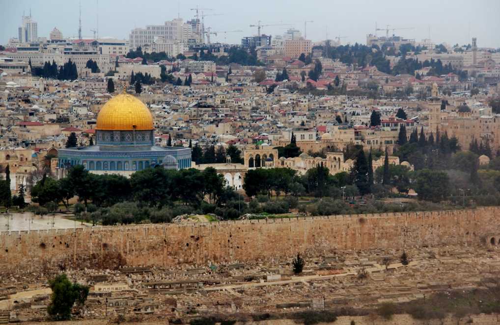 151610ccf7ofozxcno1a1x