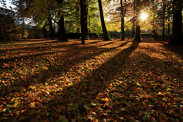 142700ewcje1fgcauitzj5