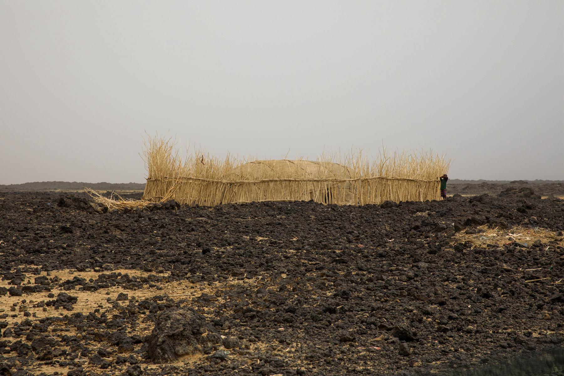 162038dtadaapadbaigjpa