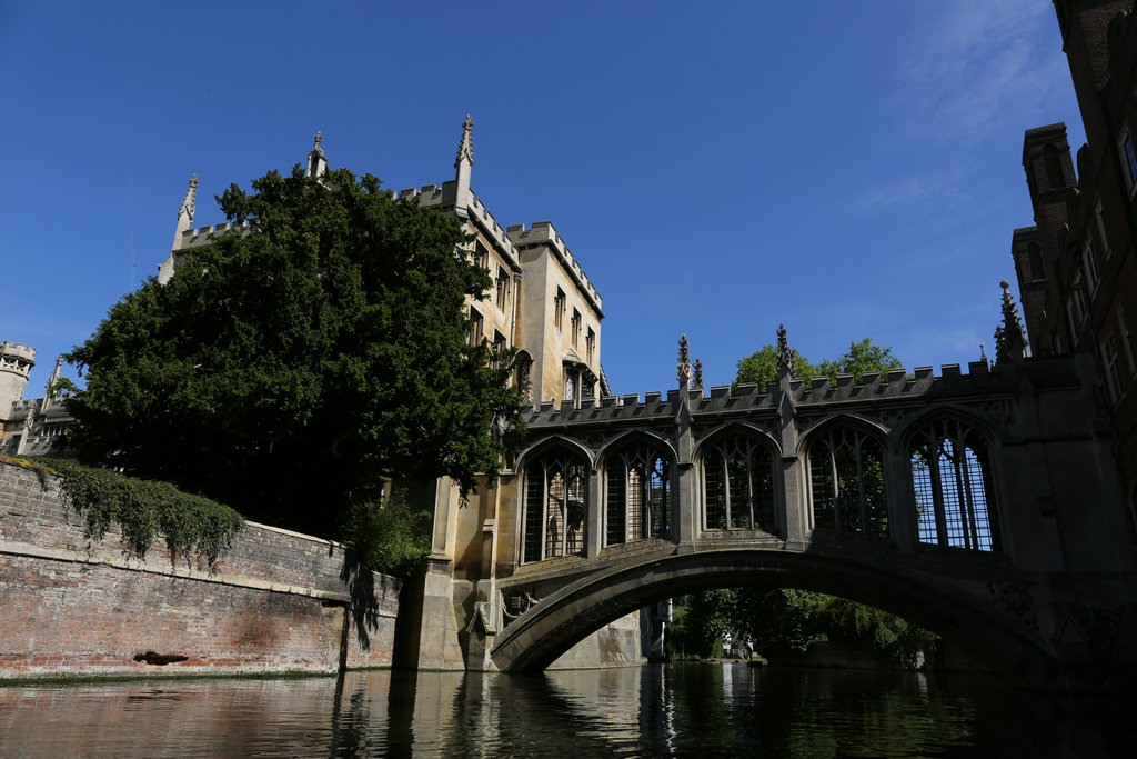 174112n8sludu8ldkgpafv