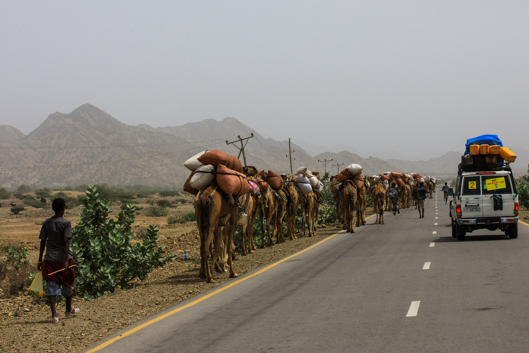 085924u7pjrggx3mnzrl20