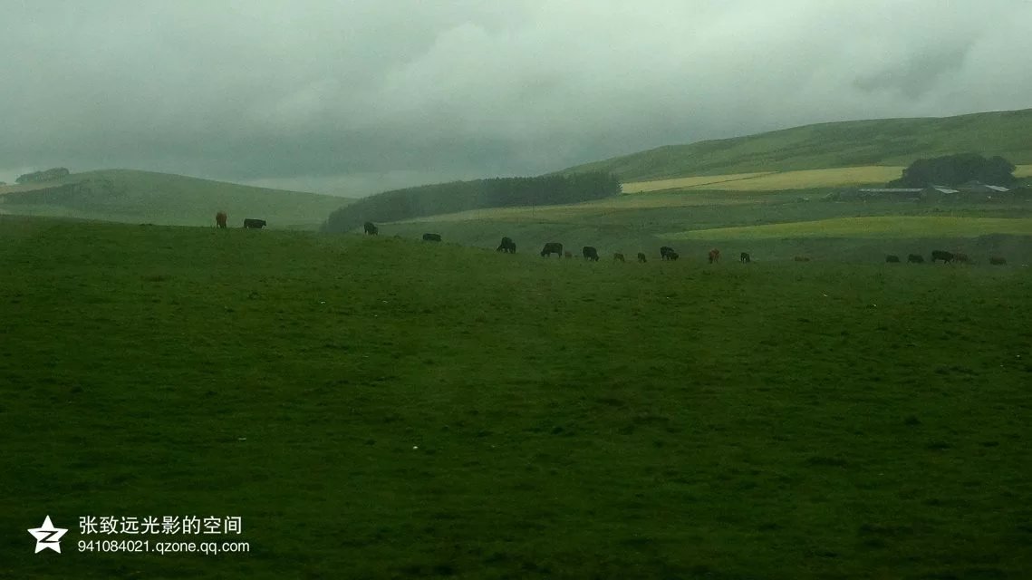 112816k8fo18wgopzs5o8o