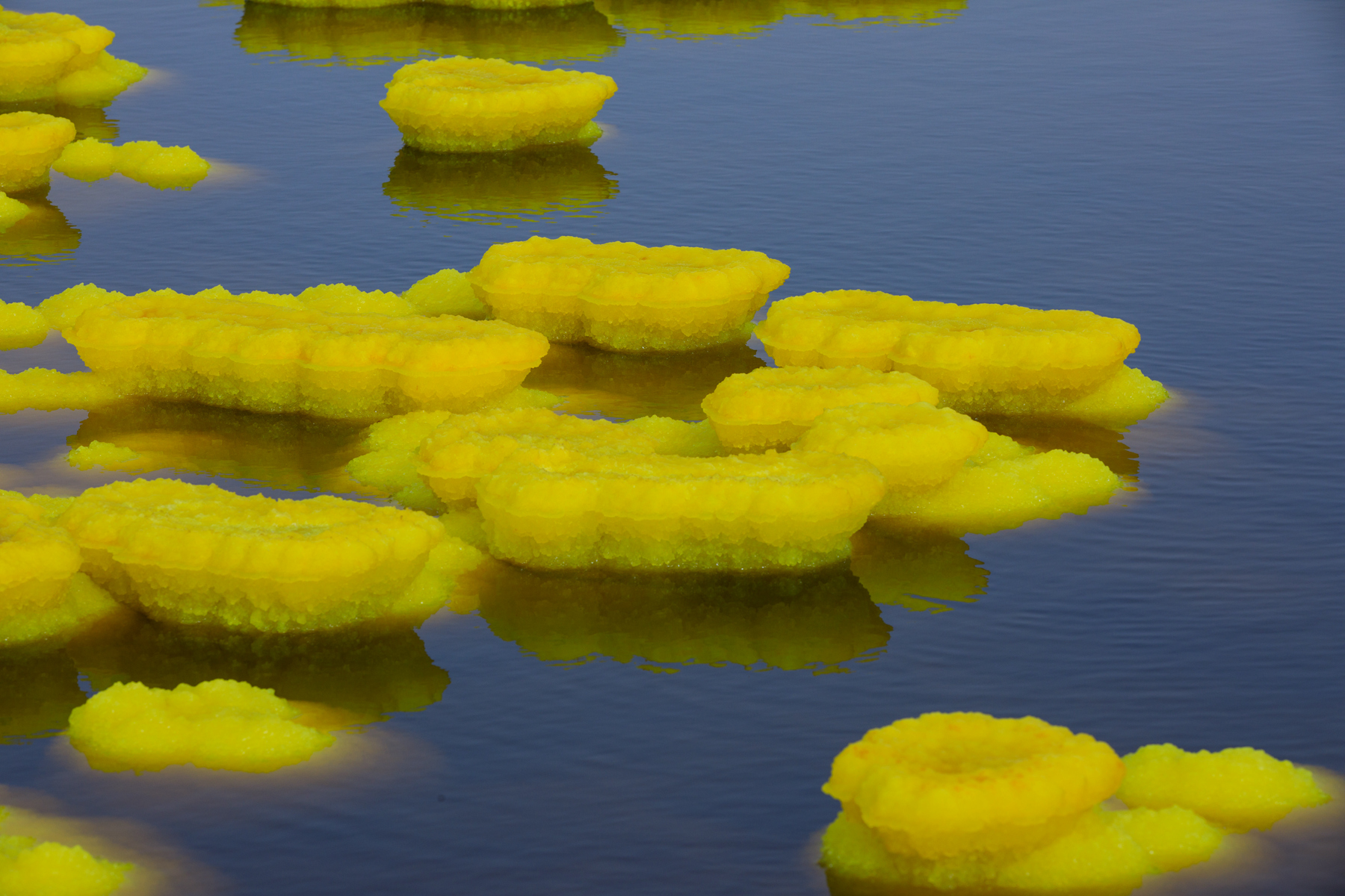 105241e1mqljaj1lvd1a1j