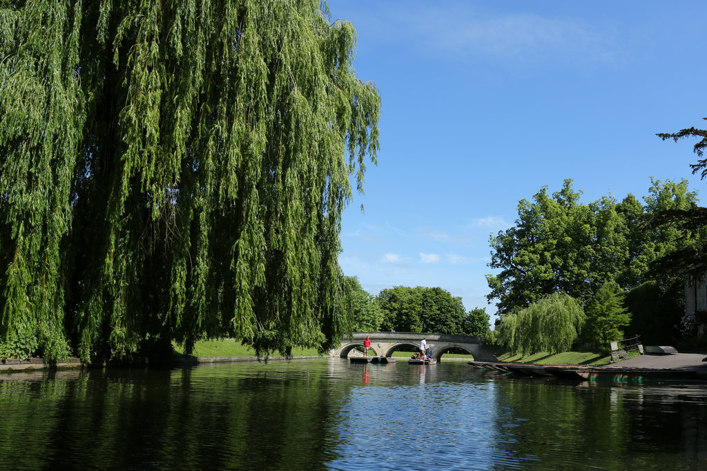 174027hghd8ndmd0dpeg0k