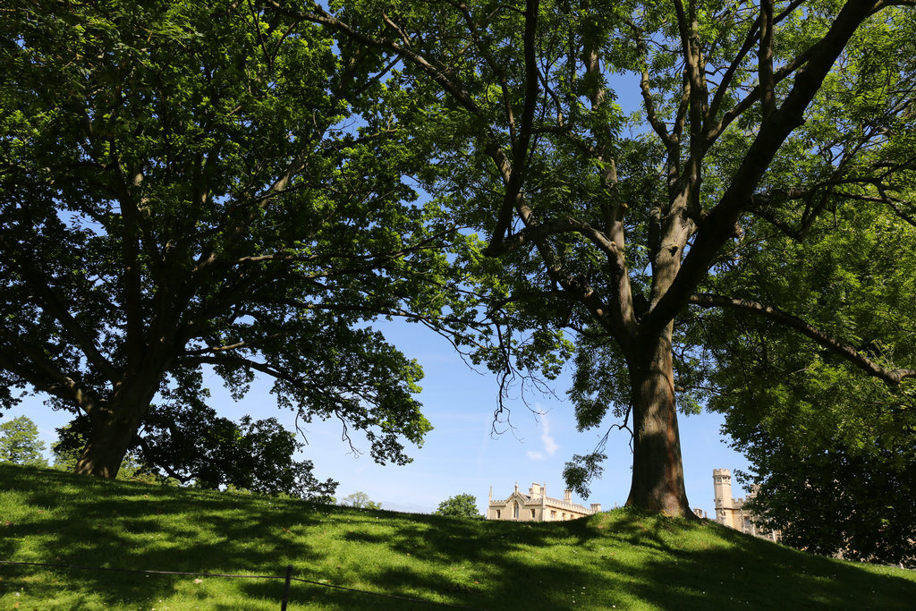 174225intozyg2cly0jj5f