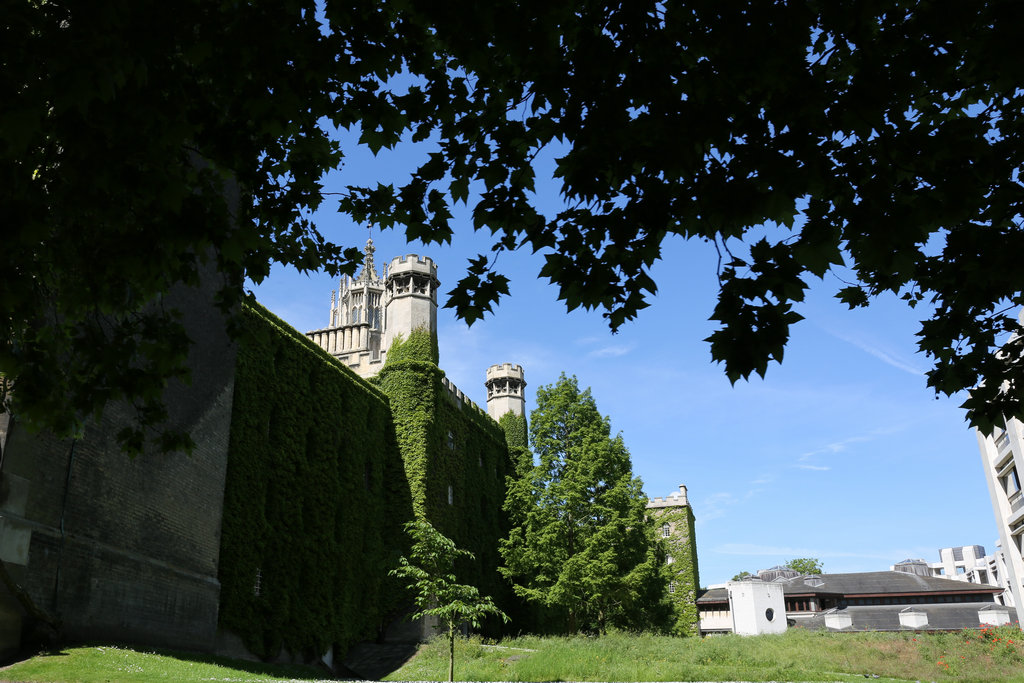 174238lwnyef2nedbdb22w