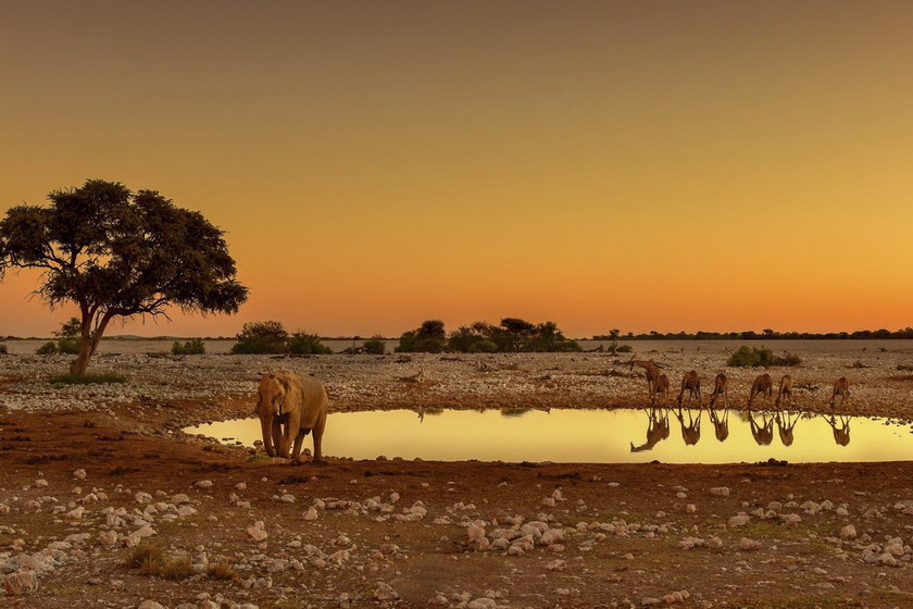2026.5.29 納米比亞、博茨瓦納及維多利亞瀑布攝影團(tuán)——掠影南部非洲精華