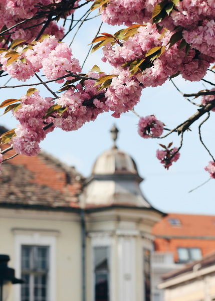 澤蒙小鎮(zhèn)-2