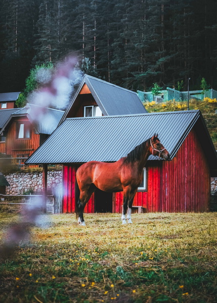 杜爾米托國(guó)家公園-3